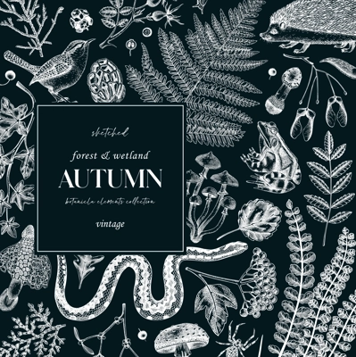 Autumn forest frame on chalkboard. Woodland animals, ferns, mushrooms, fall leaves, and autumn plant sketches. Hand drawn vector illustration, design elements, vintage invitation, greeting card.